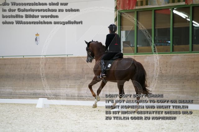 s_K3F02488.JPG